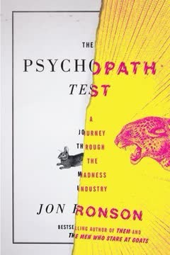 The Psychopath Test Summary