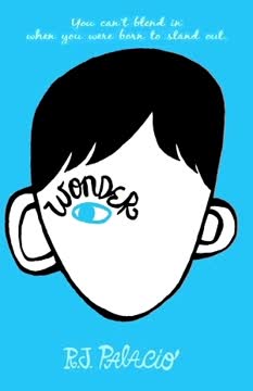Wonder Summary